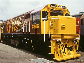 DC 4346 in Tasman Forestry