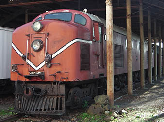 DF 1501