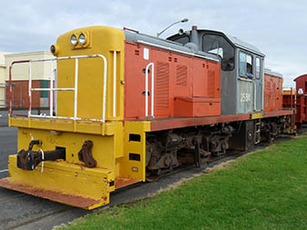 DSC 2584