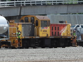 DSJ 4004